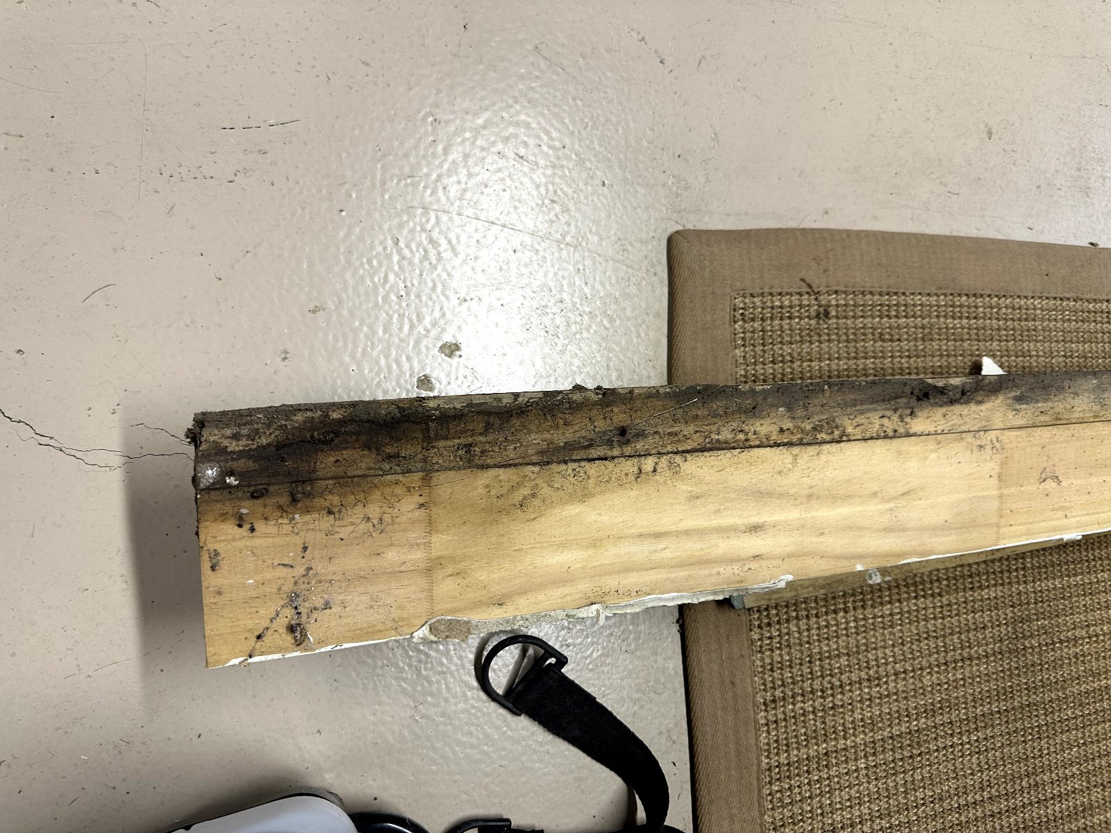 Mold-damaged baseboard removed for testing