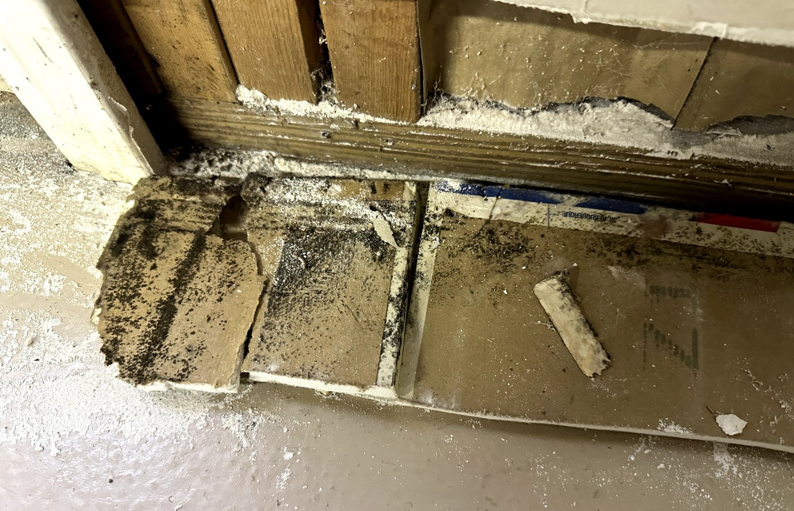 Mold at base of interior wall and door frame